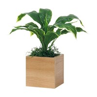 ���|�b�g�@�R�T�O�~�R�T�O�~�S�O�O�����@�f�q�S�S�V�W�@�f�q�S�S�V�W�@�P��