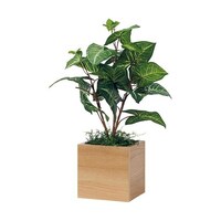 ���|�b�g�@�R�O�O�~�R�O�O�~�T�O�O�����@�f�q�S�S�V�X�@�f�q�S�S�V�X�@�P��