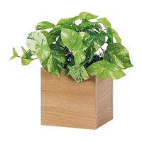 ���|�b�g�@�Q�T�O�~�Q�T�O�~�Q�W�O�����@�f�q�S�S�W�P�@�f�q�S�S�W�P�@�P��