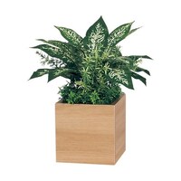 ���|�b�g�@�R�O�O�~�R�O�O�~�R�T�O�����@�f�q�S�S�W�S�@�f�q�S�S�W�S�@�P��