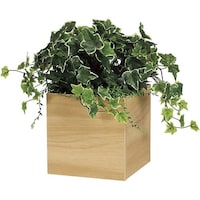 ���|�b�g�@�S�O�O�~�S�O�O�~�R�T�O�����@�f�q�S�Q�T�T�@�f�q�S�Q�T�T�@�P��