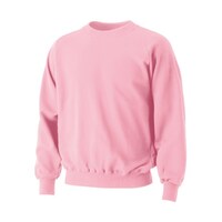 �P�O�O�V�@���N�уg���[�i�[�@�s���N