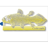 �u�b�N�}�[�N�@�V�[���J���X�@�S�[���h�~�P�O