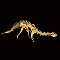 ���^���z�r�[�@�u�����g�T�E���X�~�R