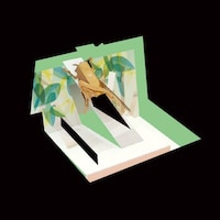 ���^���z�r�[�@�N�}�[�~�~�P�O