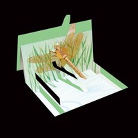 ���^���z�r�[�@�g���{�~�P�O