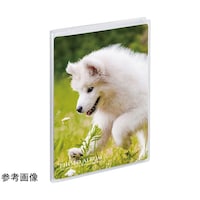 �������|�P�b�g�A���o���@�j�f�@�^�e�@�N���A�@�j�o�|�V�O�O�T�|�X�O�@�j�o�|�V�O�O�T�|�X�O�@�P��