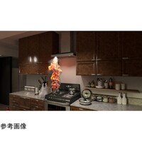 �ЊQ�f���f�[�^�̂݁@�u�ЊQ�̌��u�q�v�R���Z���g�΍Ё@�n�o�^�d�c�Z�b�g�@���f�[�^�[�i�@�U�O�|�R�P�R�W�|�T�R�@�P�{