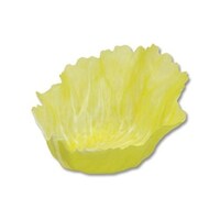 �x�W�J�b�v�@�r�@�S�����@�O���[���@���C�g�O���[���@�U�O�|�R�W�Q�W�|�T�R�@�P�Z�b�g