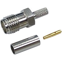 �r�l�`�R�l�N�^�X�g���[�g�W���b�N�@�r�l�`�i�|�P�V�S�`�i�m���j�@�r�l�`�i�|�P�V�S�`�i�m���j�@�P��