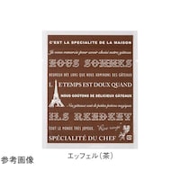 �J�}�X�܁@�J�}�X�@�f�s�i�����^�C�v�j�m��