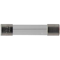 �e�X�^�[�p�q���[�Y�i���f�^�e�j�@�e�P�Q�D