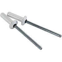 �u���C���h���x�b�g�@�V�[���h�^�C�v�@���t�\���U�D�S�|�X�D�U�����@�P�܁i�Q�O�{���j�@�r�r�`�|�T�U�b�@�r�r�`�|�T�U�b�@�P��