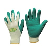 �V�R�S���w������܁@�W���C�n���h�S���w�����@�r�@�R�O�V�|�r�@�R�O�V�|�r�@�P�o