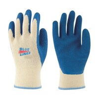 �V�R�S���w������܁@�u���[���C�i�[�@�k�@�R�O�O�|�k�@�R�O�O�|�k�@�P�o