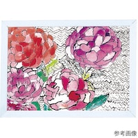 �v�����z���@�W�ؗp�i�����t�j�@�P�P�T�T�O�@�P�P�T�T�O�@�P��