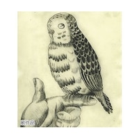 �Q�O�T�P�U�@�h���C�|�C���g�Z�b�g