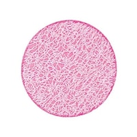 �V���r�@�o�u�b�@���b�V���R�[�X�^�[�@���Q