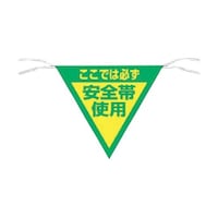 �O�p���W���@�u�����ł͕K�����S�юg�p�v�@�U�T�T�@�U�T�T�@�P��