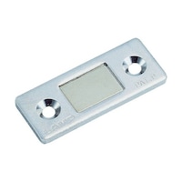 �l�b�P�T�X�r�t�r�ɔ��^�}�O�l�b�g�L���b�`