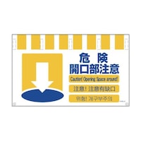 �S���������^���J���W�����C�h�@�댯�J�������Ӂ@�m�s�v�S�k�|�P�O�@�m�s�v�S�k�|�P�O�@�P��