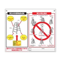 �S�W�i�W���r���̓_�����ځA�֎~����