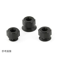 �p�b�h�S���̂�