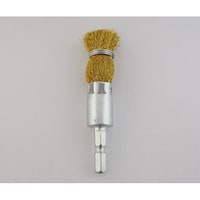 �m���D�S�Q�O�S�g�Z�p���M�^���C���[�u���V