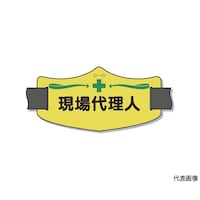 ���r�́u����㗝�l�v�@�����O�S���o���h�t�@�v�d�|�W�k�@�v�d�|�W�k�@�P��