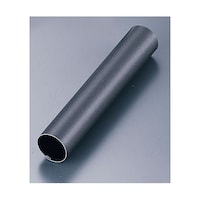 �X���g���z�[���^