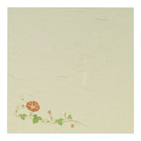 �T�������@�P�O�O����