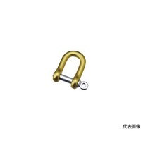 �A���~�V���b�N���i�C�G���[�j�@�ĂтW����