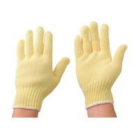 �P�u���[�Ҏ��