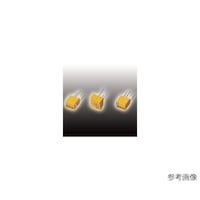 �q�i�|�T�d�v�|�P�O�|�n�g�l�P�O�O�@���[�^