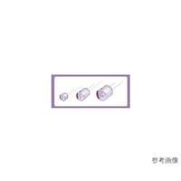 nrRfT[@UDRuSVOe@UrdoSVOl@UrdoSVOl@P