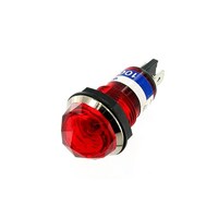 �l�I���u���P�b�g�@�_�C���J�b�g�^�@�`�b�P�O�O�u�[�P�Q�T�u�@�ԁ@�a�m�|�Q�R�|�P�|�q�@�a�m�|�Q�R�|�P�|�q�@�P��