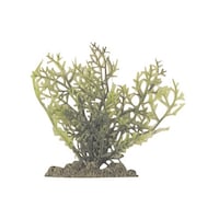 �A�N�A�e�B�b�N�v�����c�@�r�r�|�S�@�m�`�o�|�R�O�R�@�m�`�o�|�R�O�R�@�P��