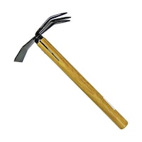 �T�O�R�O�@�ʐ��@�C�J�^���[�L