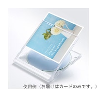 �v���P�[�X�p�C���f�b�N�X�J�[�h�@��Ȃ��}�b�g�@�i�o�|�h�m�c�P�S�m�@�i�o�|�h�m�c�P�S�m�@�P�Z�b�g