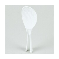 �k�a�|�P�O�R�@�X�^���f�B���O�������