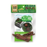 ��Ă鐅���̎�@�X�g���[�g�w�A�[�����؁@�m�`�v�|�P�W�Q�@�m�`�v�|�P�W�Q�@�P�Z�b�g