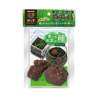 ��Ă鐅���̎�@�X�g���[�g�w�A�[�����b�N�@�m�`�v�|�P�W�R�@�m�`�v�|�P�W�R�@�P�Z�b�g