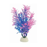 ���~�i�X�v�����c�@�r�|�P�@�m�`�o�|�P�X�O�@�m�`�o�|�P�X�O�@�P��