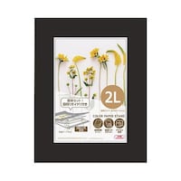 �J���[�y�[�p�[�X�^���h�Q�k�@�u���b�N�@�l�b�o�r�|�Q�k�a�j�@�l�b�o�r�|�Q�k�a�j�@�P��