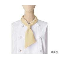 �R�b�N�^�C�@�x�[�W���@�t���[�@�e�`�X�P�X�X�|�P�@�e�`�X�P�X�X�|�P�@�P�{