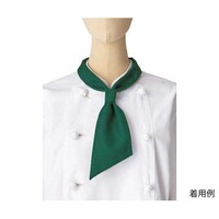 �R�b�N�^�C�@�O���[���@�t���[�@�e�`�X�P�X�X�|�S�@�e�`�X�P�X�X�|�S�@�P�{