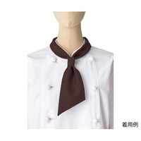 �R�b�N�^�C�@�u���E���@�t���[�@�e�`�X�P�X�X�|�T�@�e�`�X�P�X�X�|�T�@�P�{