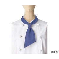 �R�b�N�^�C�@�u���[�@�t���[�@�e�`�X�P�X�X�|�V�@�e�`�X�P�X�X�|�V�@�P�{