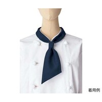 �R�b�N�^�C�@�l�C�r�[�@�t���[�@�e�`�X�P�X�X�|�W�@�e�`�X�P�X�X�|�W�@�P�{