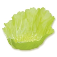 �x�W�J�b�v�@�ہ@�i�R���j�@�O���[�����^�X�@�U�S�|�S�Q�O�P�|�T�Q�@�P�Z�b�g